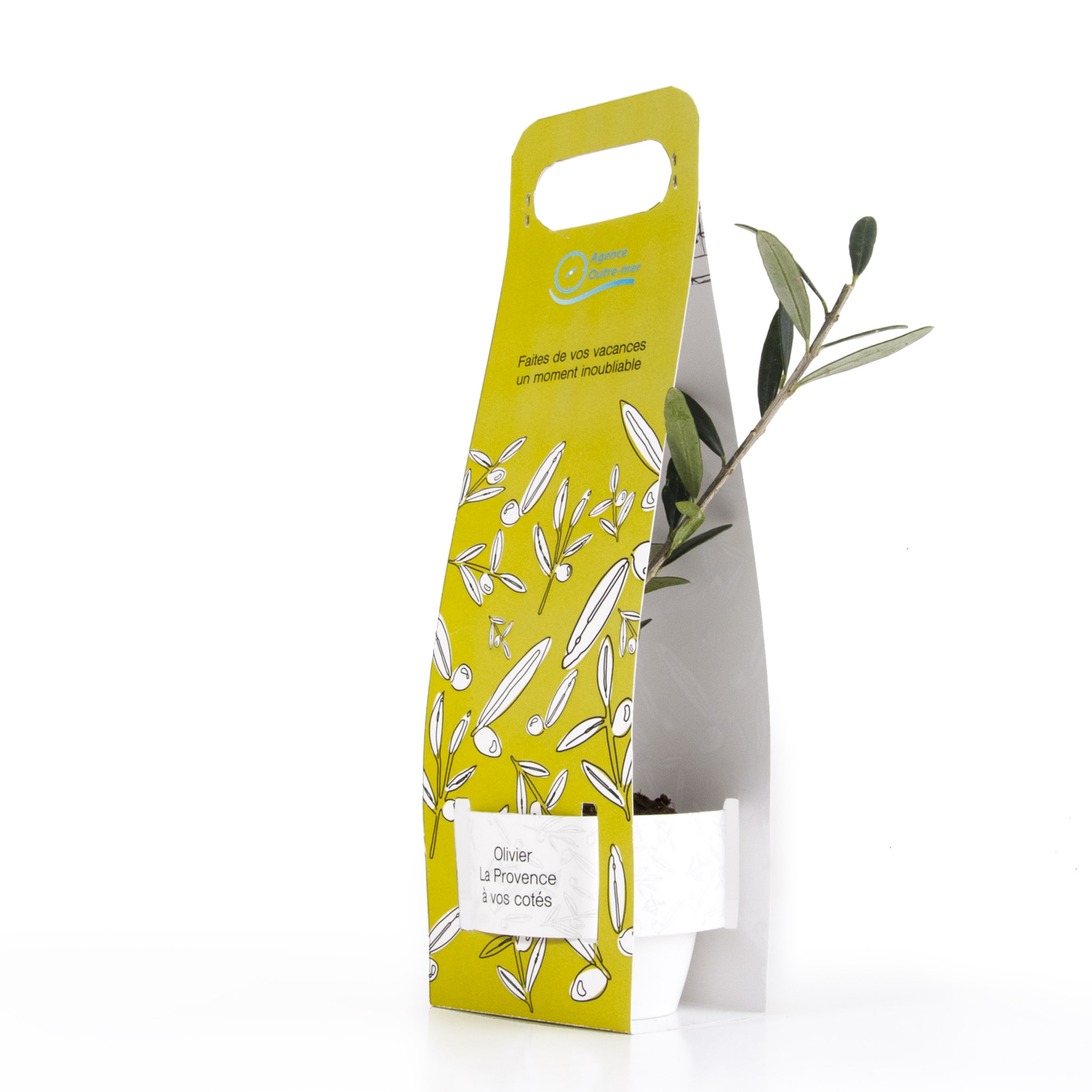 Promoseeds au service du végétal