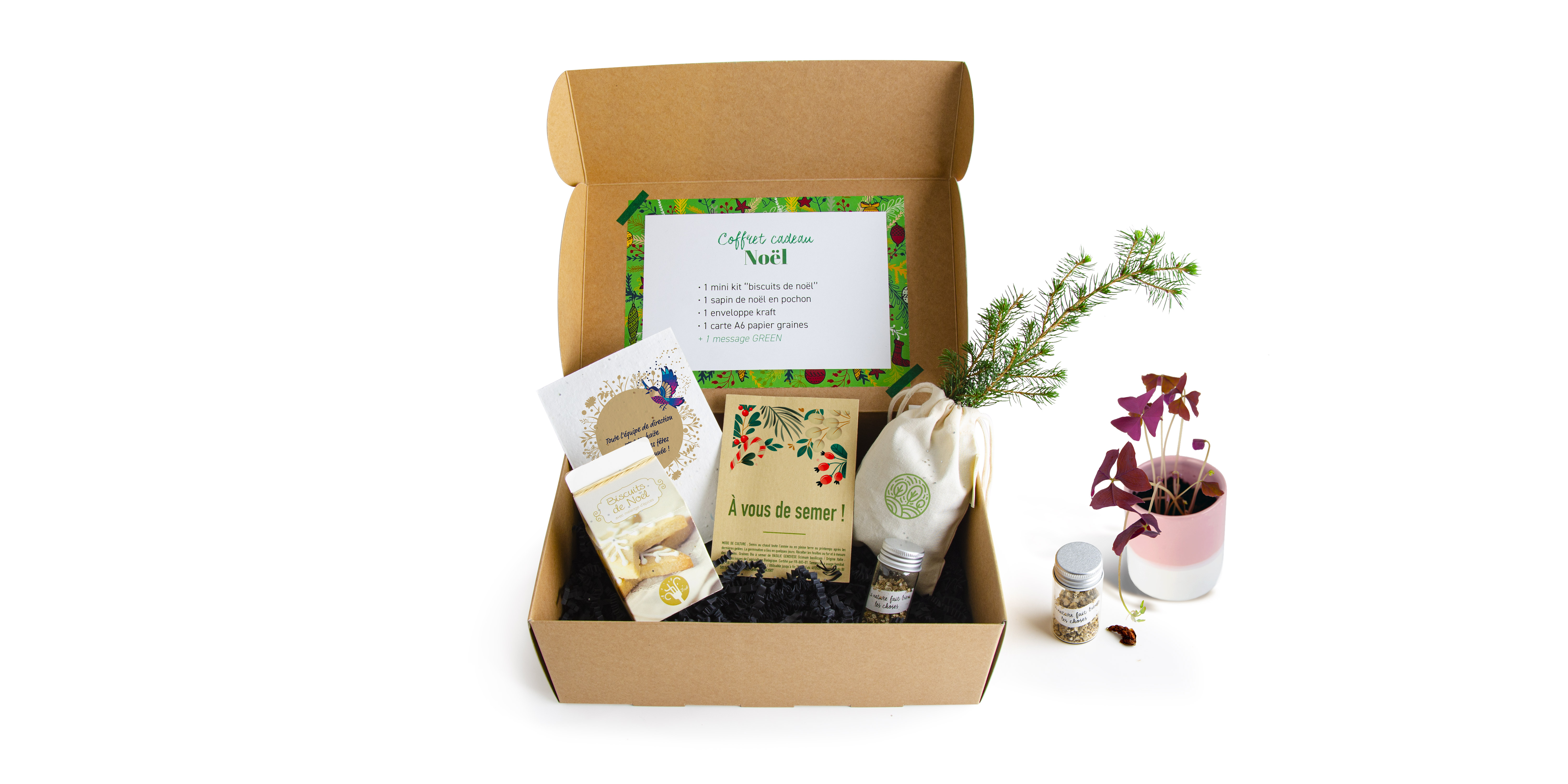 The Christmas Box signed by Promoseeds by Radis et Capucine